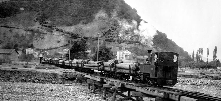 The Black Train Transports The Logs